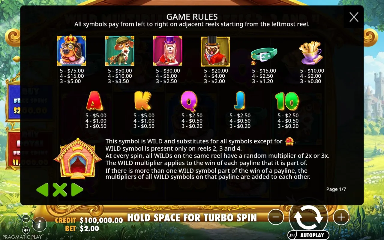 Royal Hunt paytable screen showing the premium symbol payouts including the lady at 80.00 and the hunter at 50.00 for a five-of-a-kind line on the 20-payline bet