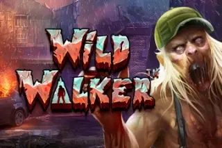 Demo play Pragmatic Play — Wild Walker