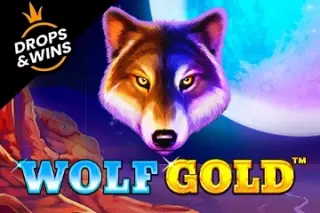 Demo play Pragmatic Play — Wolf Gold