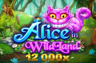 Demo play SpinPlay Games — Alice in WildLand